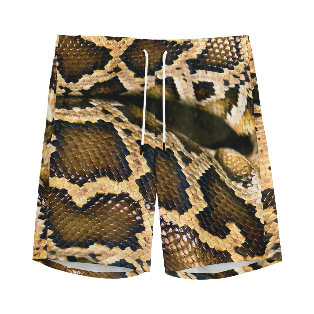 Burmese Python Snake Print Men's Sports Shorts