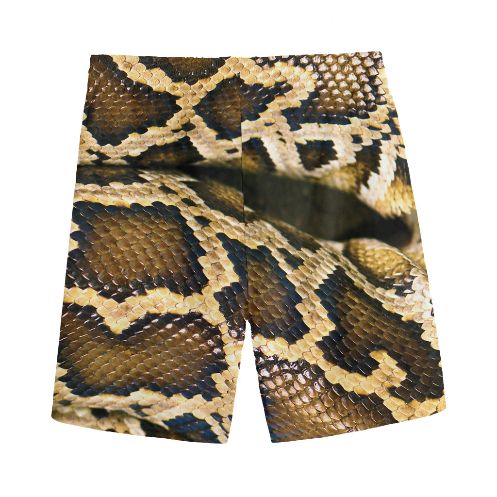 Burmese Python Snake Print Men's Sports Shorts