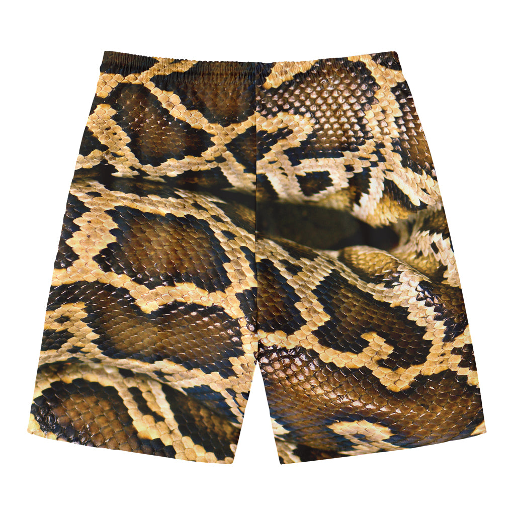 Burmese Python Snake Print Men's Swim Trunks