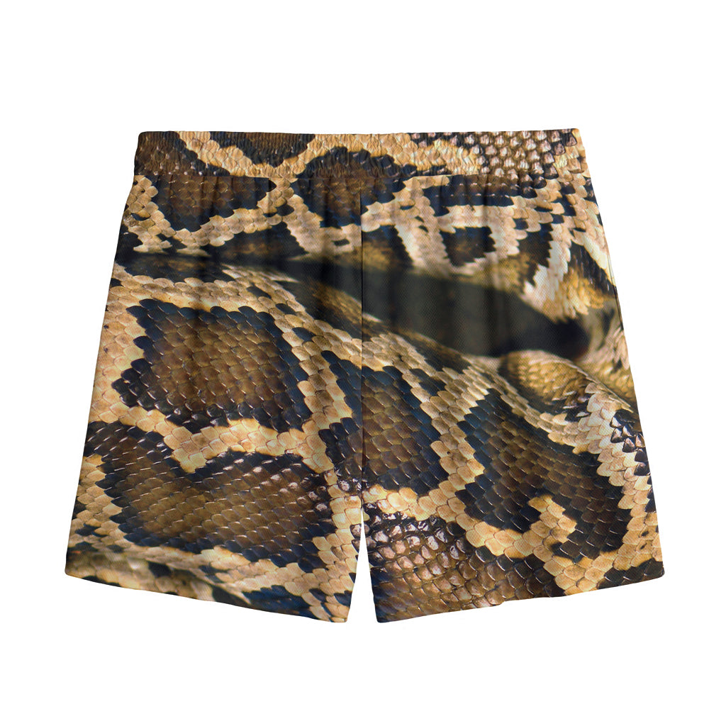 Burmese Python Snake Print Mesh Shorts