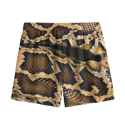 Burmese Python Snake Print Mesh Shorts