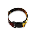 Burning Evil Skull Print Dog Collar