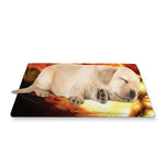 Burning Evil Skull Print Pet Cooling Mat Cover