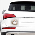 Burning Hole Print Car Sticker