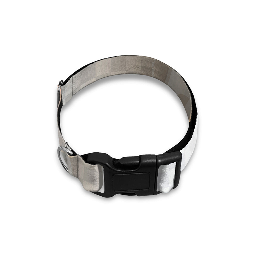 Burning Hole Print Dog Collar