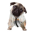 Burning Hole Print Dog Zip Up Hoodie