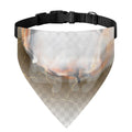 Burning Hole Print Over The Collar Dog Bandana