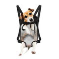 Burning Hole Print Pet Carrier Backpack