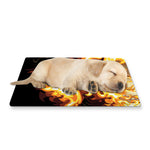 Burning Skull Print Pet Cooling Mat Cover