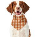 Burnt Orange And White Check Print Dog Bandana