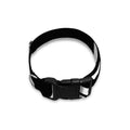 Calico Jack Pirate Flag Print Dog Collar