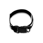 Calico Jack Pirate Flag Print Dog Collar