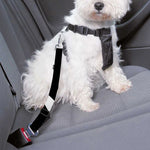 Calico Jack Pirate Flag Print Dog Seat Belt