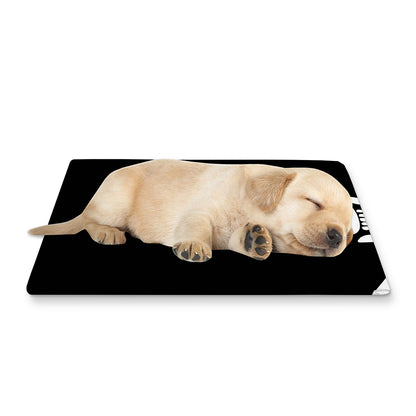 Calico Jack Pirate Flag Print Pet Cooling Mat Cover