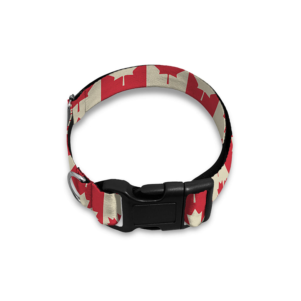 Canadian Maple Leaf Pattern Print Dog Collar