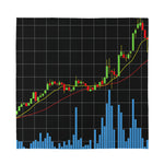 Candlestick Stock Graph Chart Print Silk Bandana