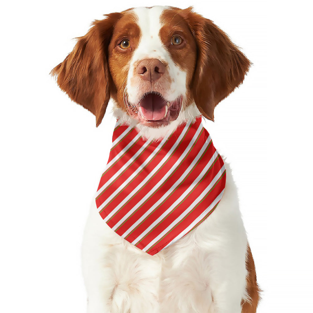 Candy Cane Stripe Pattern Print Dog Bandana