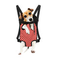 Candy Cane Stripe Pattern Print Pet Carrier Backpack