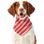 Candy Cane Stripes Pattern Print Dog Bandana