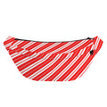 Candy Cane Stripes Pattern Print Fanny Pack