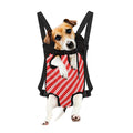Candy Cane Stripes Pattern Print Pet Carrier Backpack