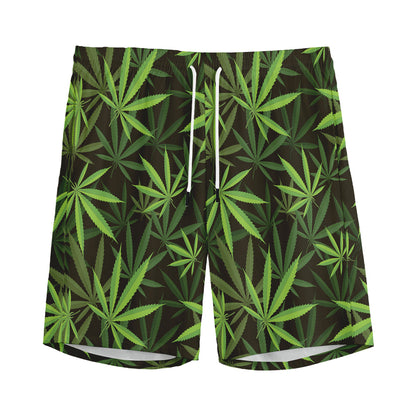 Cannabis Leaves Pattern Print Men's Sports Shorts