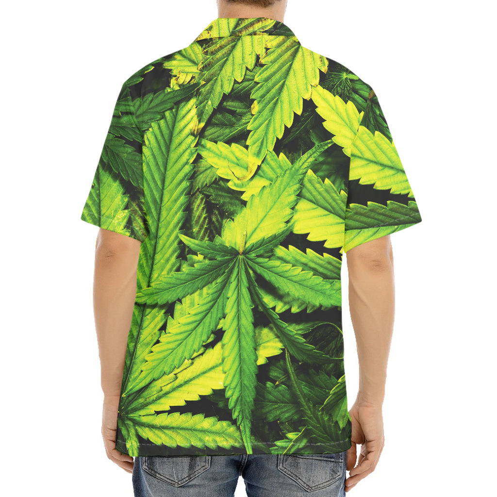 Cannabis Print Aloha Shirt