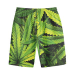 Cannabis Print Cotton Shorts