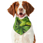 Cannabis Print Dog Bandana