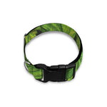 Cannabis Print Dog Collar