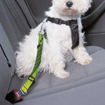 Cannabis Print Dog Seat Belt