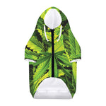 Cannabis Print Dog Zip Up Hoodie