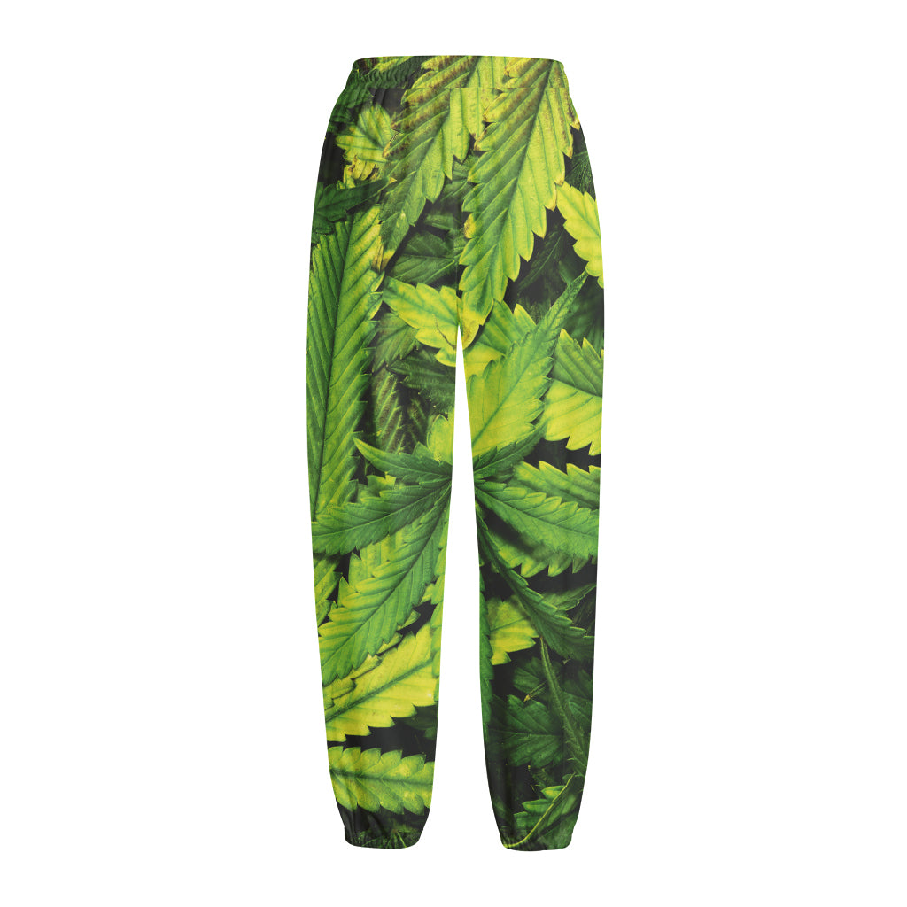 Cannabis Print Fleece Lined Knit Pants