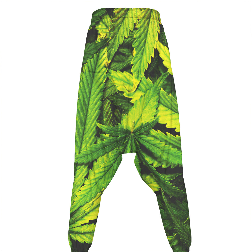 Cannabis Print Hammer Pants