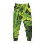 Cannabis Print Jogger Pants
