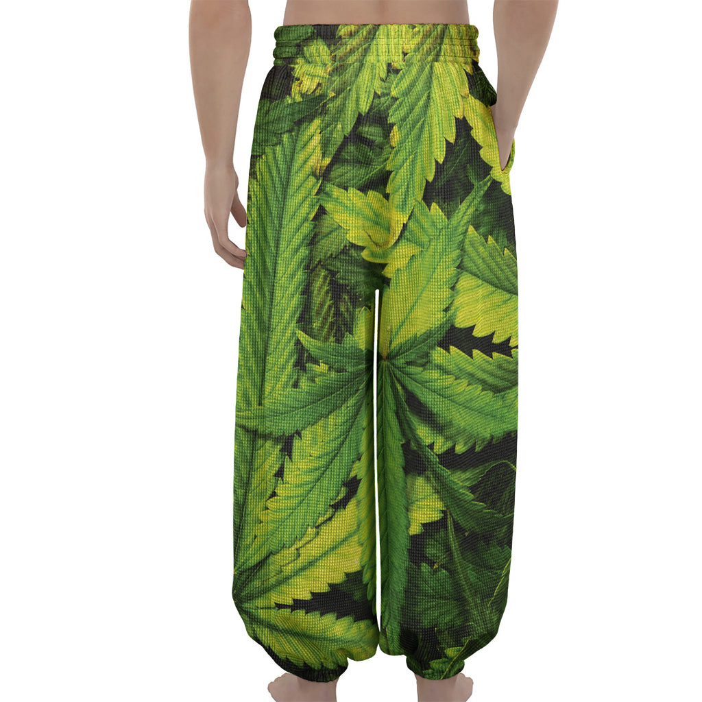 Cannabis Print Lantern Pants