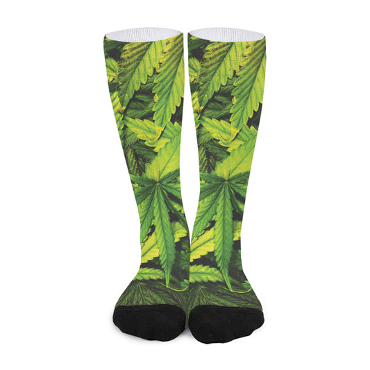 Cannabis Print Long Socks