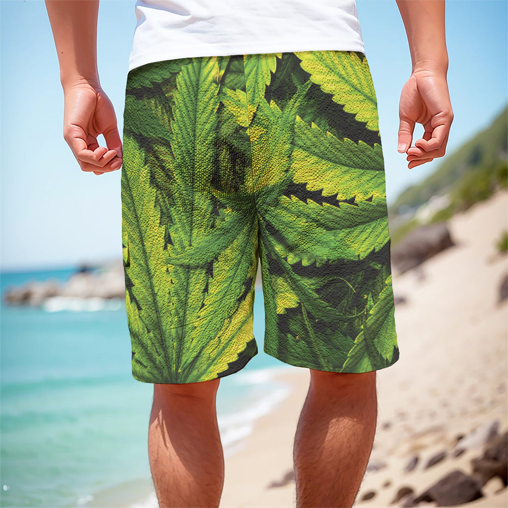 Cannabis Print Men's Cargo Shorts