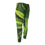 Cannabis Print Men's Compression Pants