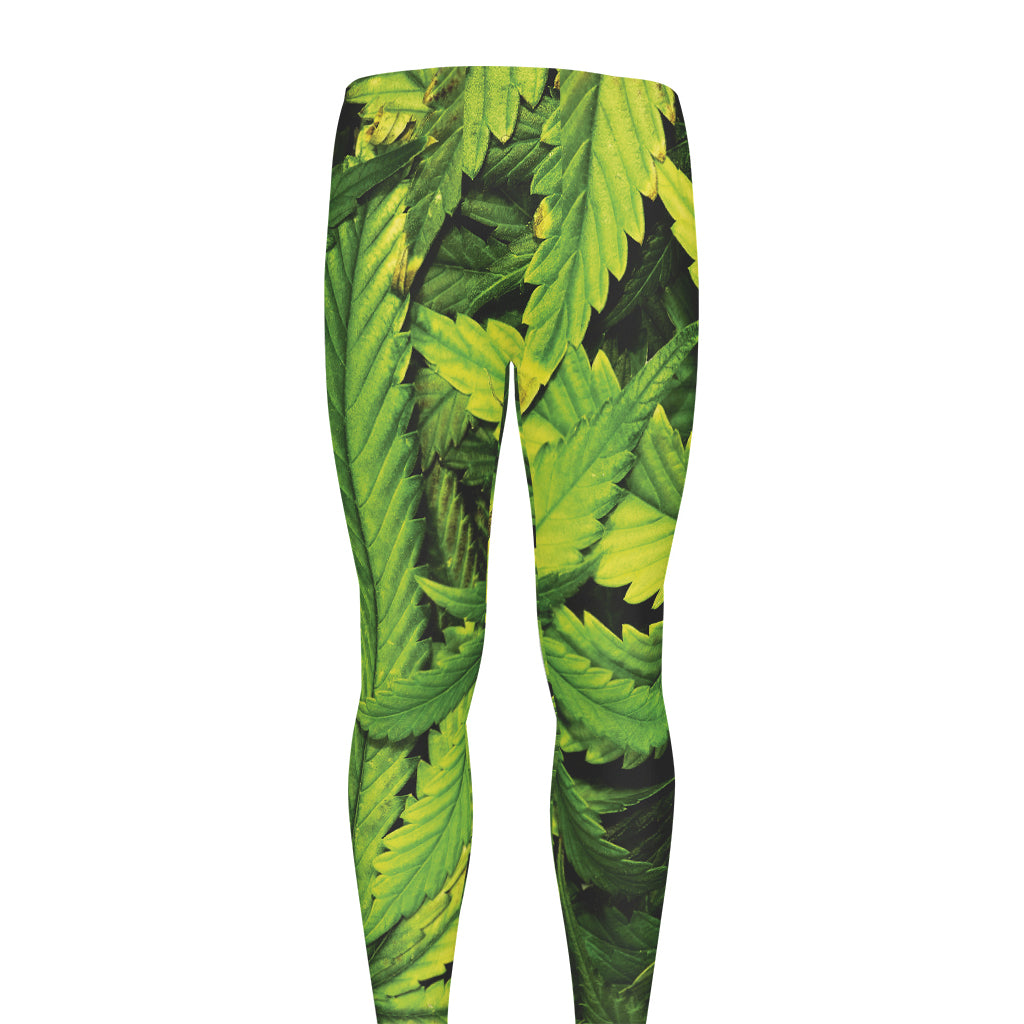 Cannabis Print Men's leggings