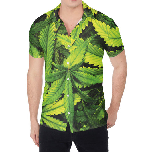 Cannabis Print Men's Shirt