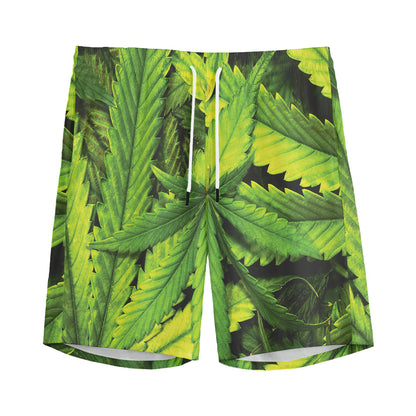 Cannabis Print Men's Sports Shorts