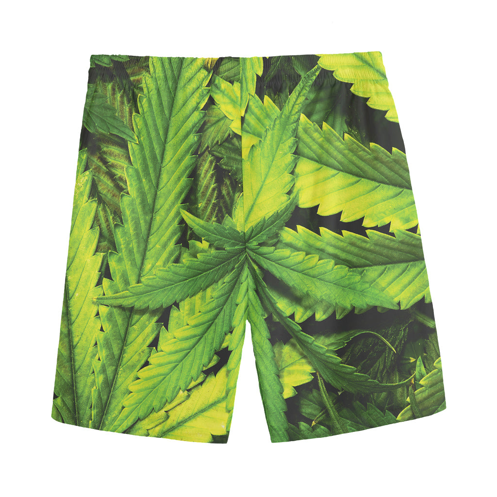 Cannabis Print Men's Sports Shorts
