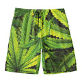 Cannabis Print Men's Swim Trunks