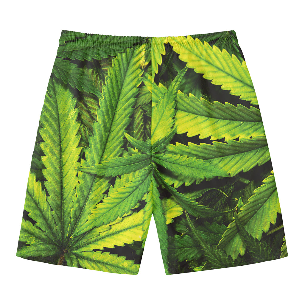 Cannabis Print Men's Swim Trunks