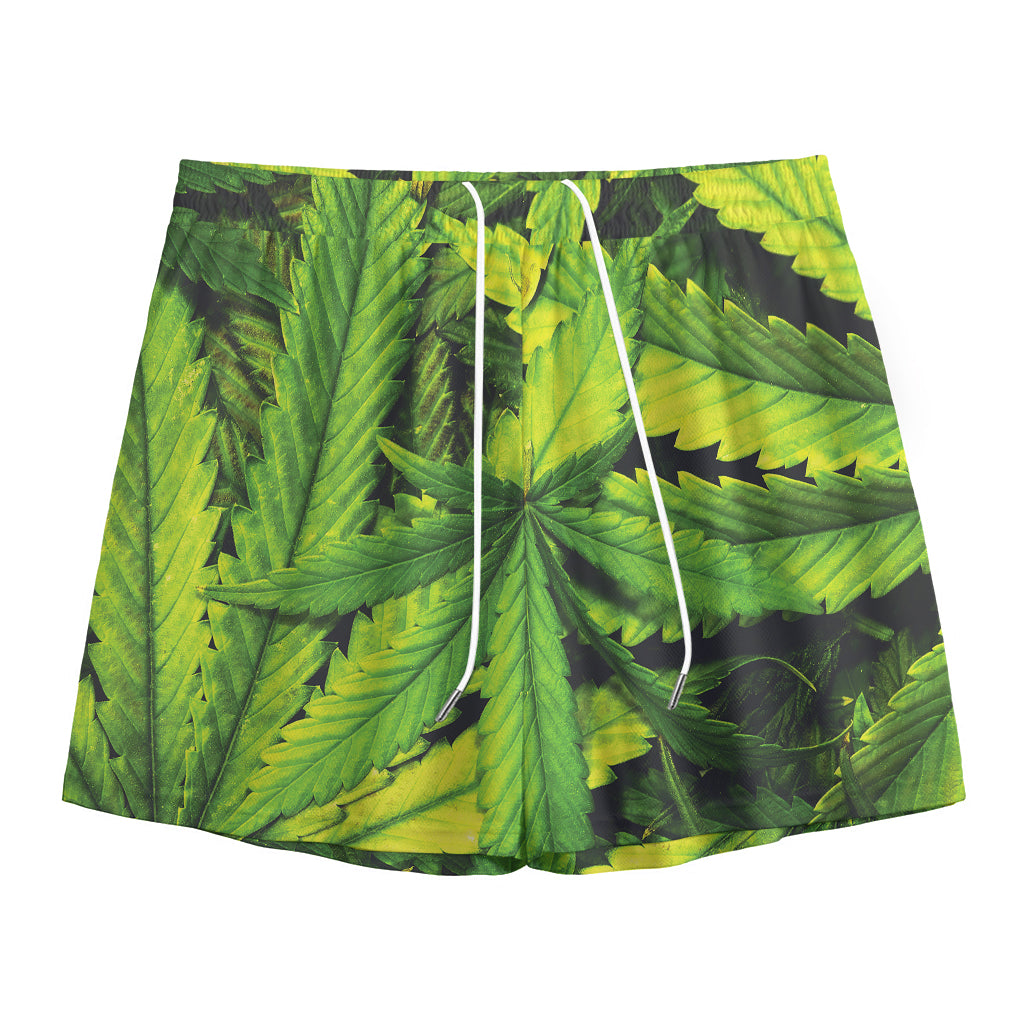 Cannabis Print Mesh Shorts