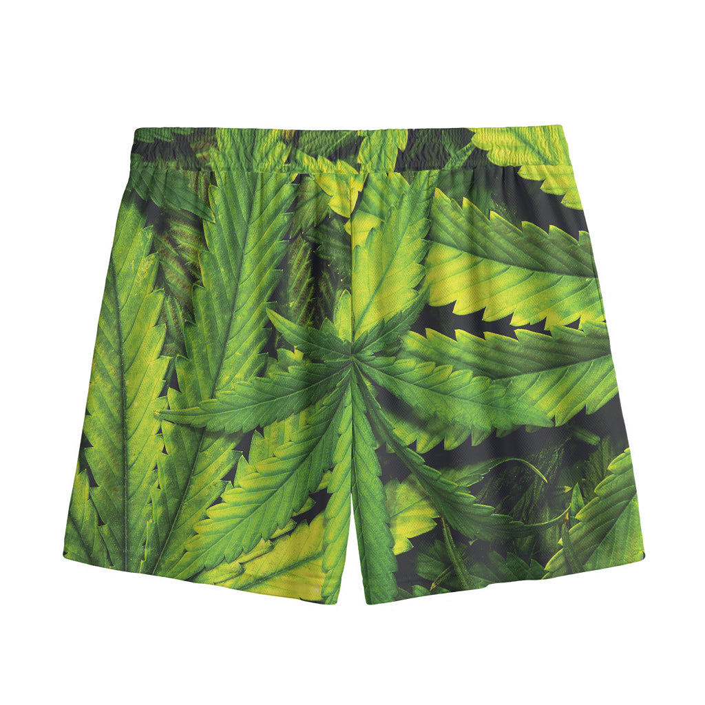 Cannabis Print Mesh Shorts