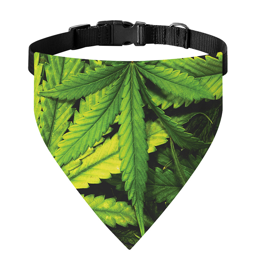 Cannabis Print Over The Collar Dog Bandana