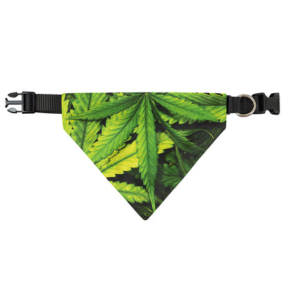 Cannabis Print Over The Collar Dog Bandana
