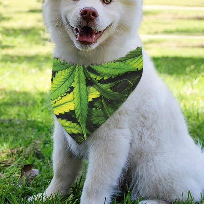 Cannabis Print Over The Collar Dog Bandana